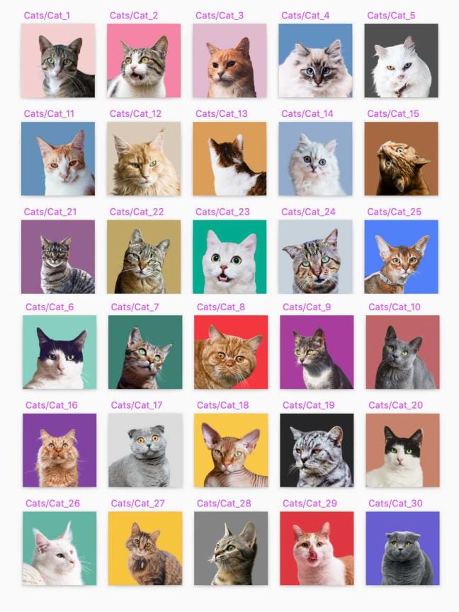 60个 可爱狗狗 & 猫咪头像免费源文件分享，sketch，figma源文件