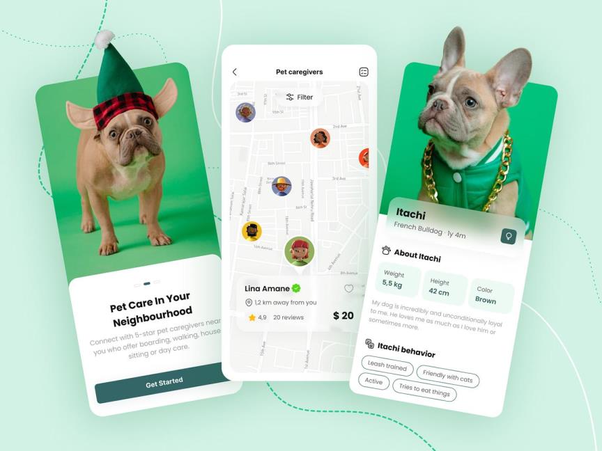 3个颜色主题宠物APP设计|UI设计Figma源文件