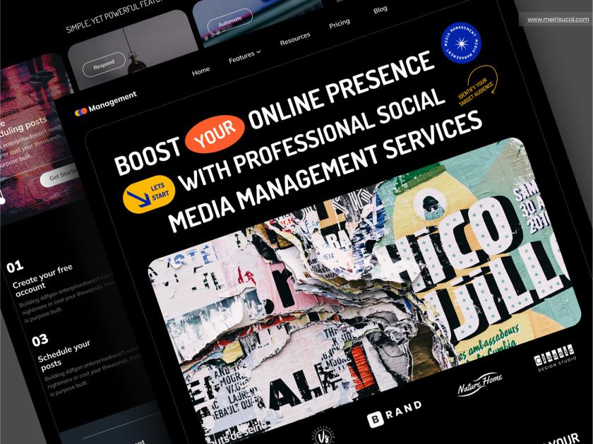 头条，抖音，小红书社交媒体管理服务网站