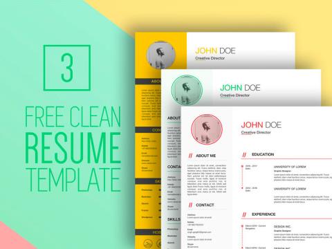 3个sketch简历模板
