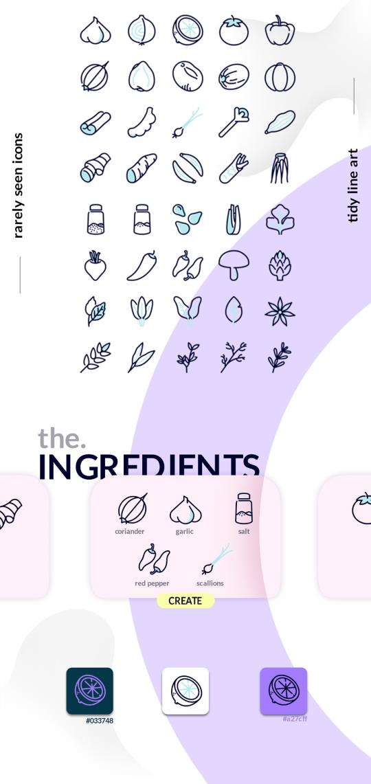 40个香料图标包EPS和PNG格式