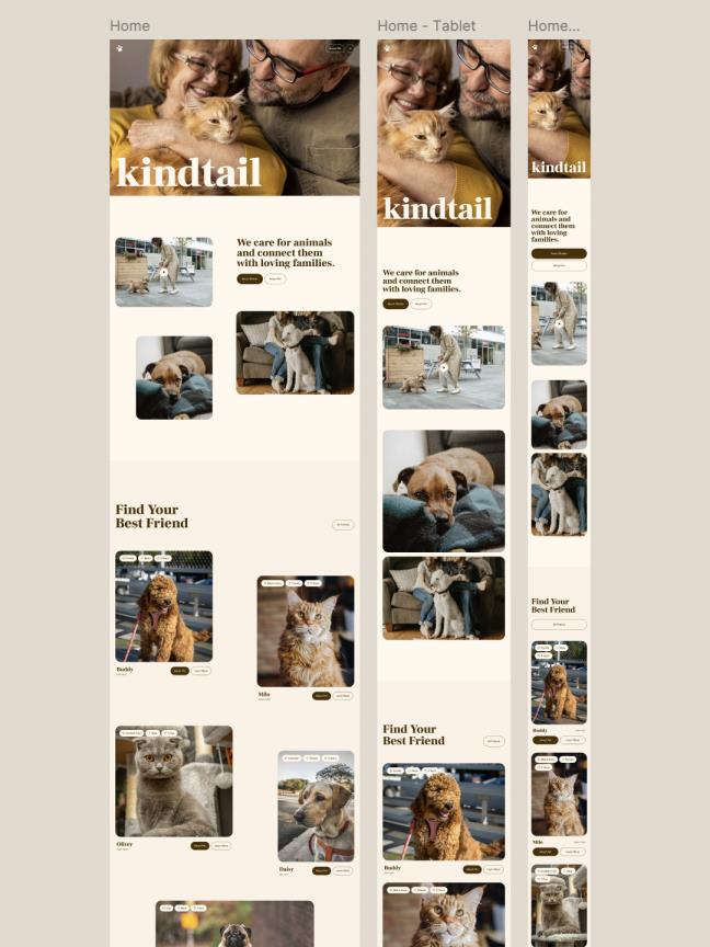 8页非营利性宠物，动物收容所网站UI设计figma源文件