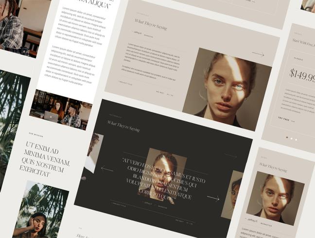 干净文艺女性风格-3个响应式登录页设计UI 40个网站模块figma格式