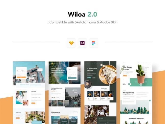 4个网站登录页设计Figma、Sketch 、 XD格式（旅游，美食，绿植）