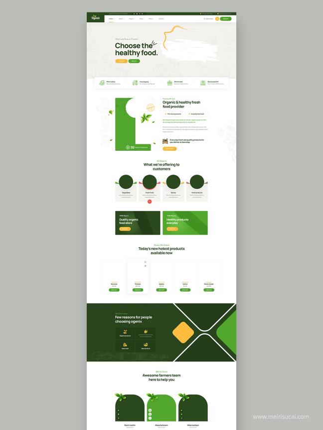 4个首页21个二级页面有机绿色食品网站设计原型psd源文件